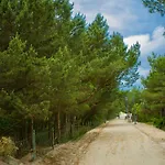 Piaskowe * Rowy (Pomerania)