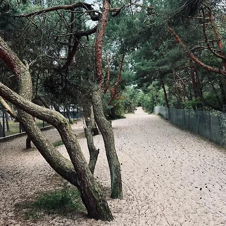 Apartament Piaskowe Rowy (Pomerania)