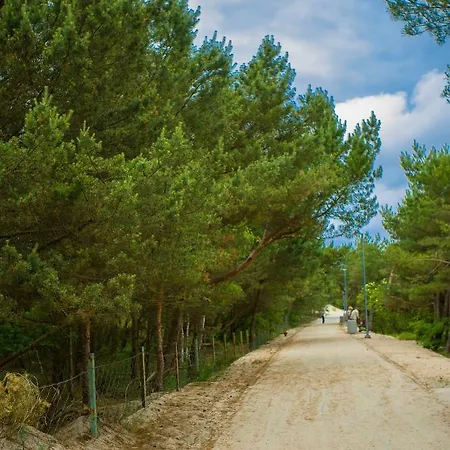 Piaskowe * Rowy (Pomerania)