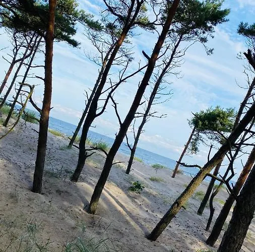 Piaskowe Apartment *