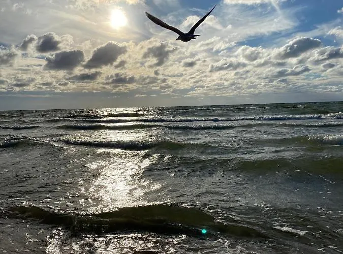 Piaskowe Apartment *