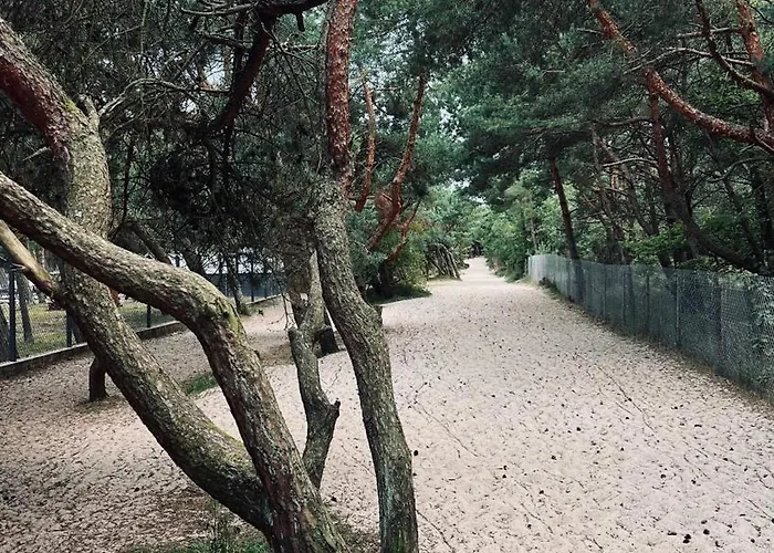 Apartment Piaskowe Rowy (Pomerania)