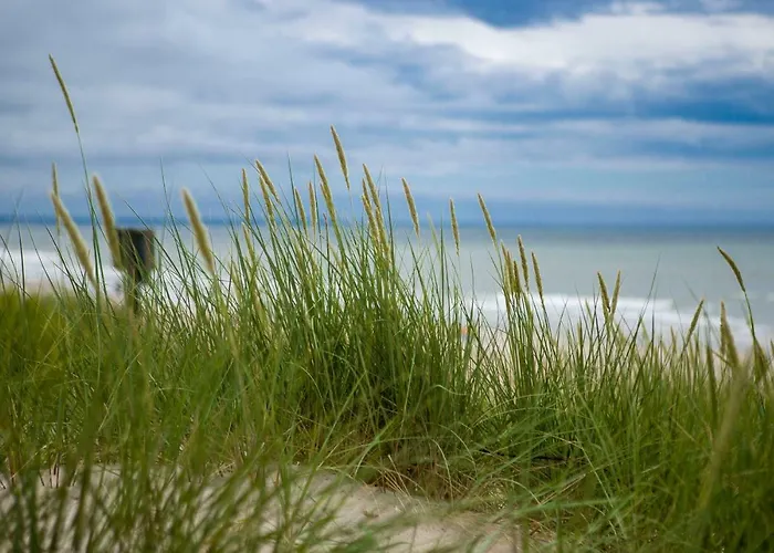 Piaskowe * Rowy (Pomerania)